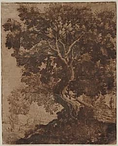 Tree in a Landscape by Ercole Bazicaluva (Italian, c. 1610–1661)