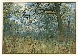 Portrait of Garden William Fraser (British, 1856–1921)
