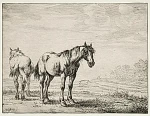 Two plough horses by Dirck Stoop (Dutch, c. 1618–1681)