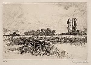 Water Meadow by Francis Seymour Haden (British, 1818–1910)