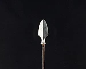 Arrowhead (<i>Yanone</i>) by Unknown Artist