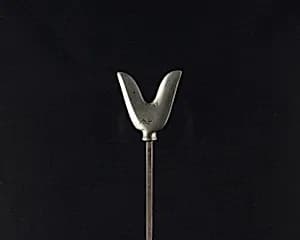 Arrowhead (<i>Yanone</i>) by Unknown Artist