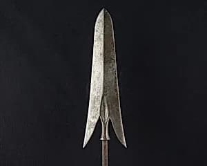 Arrowhead (<i>Yanone</i>) by Unknown Artist