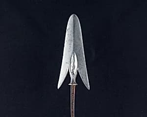 Arrowhead (<i>Yanone</i>) by Unknown Artist