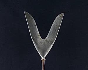Arrowhead (<i>Yanone</i>) by Unknown Artist