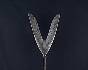 Arrowhead (<i>Yanone</i>) by Unknown Artist