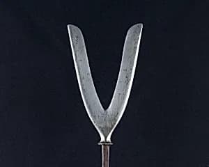 Arrowhead (<i>Yanone</i>) by Unknown Artist