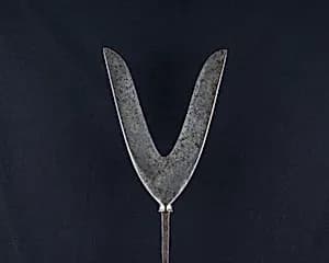 Arrowhead (<i>Yanone</i>) by Unknown Artist