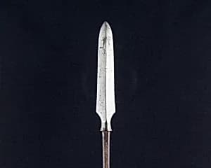 Arrowhead (<i>Yanone</i>) by Unknown Artist
