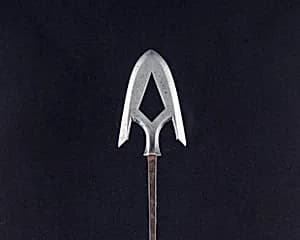 Arrowhead (<i>Yanone</i>) by Unknown Artist