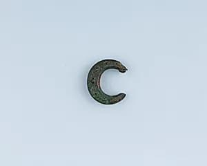 Buckle Loop by Unknown Artist