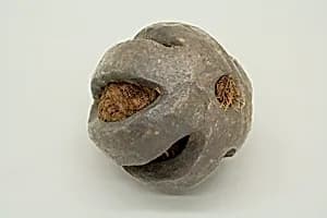 Cannon Ball by Unknown Artist