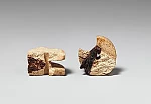 Crossbow Nut by Unknown Artist