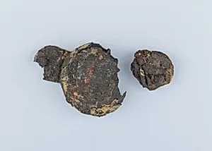 Harness Ornament by Unknown Artist