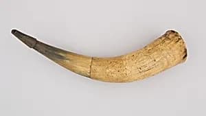 Powder Horn by Unknown Artist