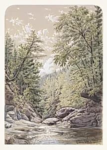 Catskill Clove in Palingsville by William Rickarby Miller