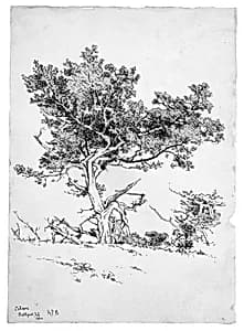 Cedars, Bellport, Long Island by Andrew Fisher Bunner