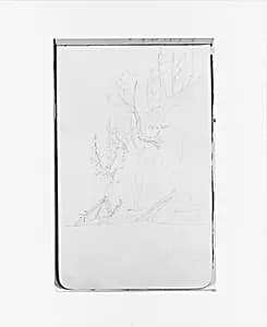 Cliffside with Trees (from Sketchbook) by Albert Bierstadt