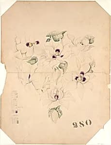 Design Drawing