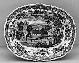 Dish