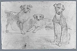 Dogs (from McGuire Scrapbook) by Unknown Artist