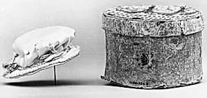 Doll's hat and hatbox by Unknown Artist
