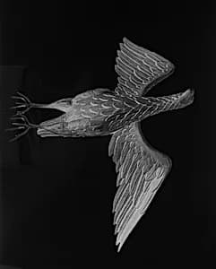 Eagle by Unknown Artist
