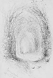 Econen Woods by Unknown Artist