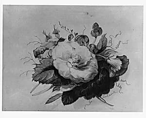 Flowers (from McGuire Scrapbook) by James Holland
