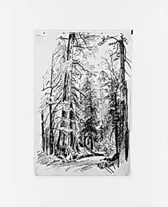 Forest Interior (from Sketchbook X) by William Trost Richards