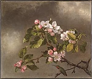 Hummingbird and Apple Blossoms by Martin Johnson Heade