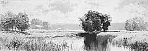 Landscape by Unknown Artist