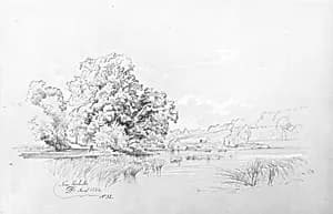 Landscape and Lagoon, New Rochelle by David Johnson