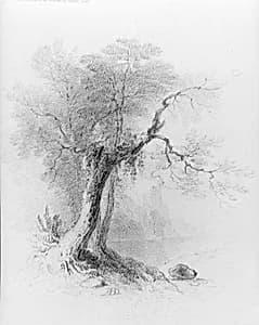 Landscape (from McGuire Scrapbook) by Asher Brown Durand
