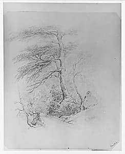 Landscape (from McGuire Scrapbook) by James Smillie