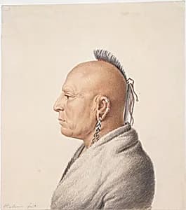 Osage Warrior by Charles Balthazar Julien Févret de Saint-Mémin