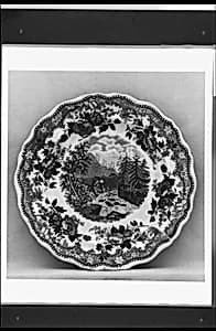 Plate