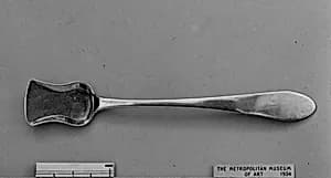 Salt Shovel