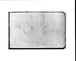 Sketches of Trees (from Sketchbook) by Albert Bierstadt