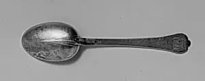 Spoon