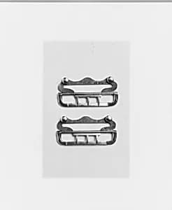 Stock Buckle by Unknown Artist