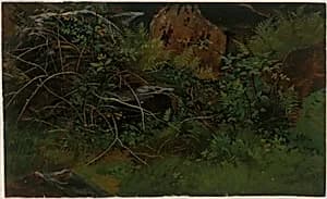 Study from Nature