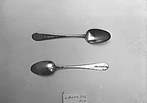 Tea Spoon by Teunis Denise Dubois