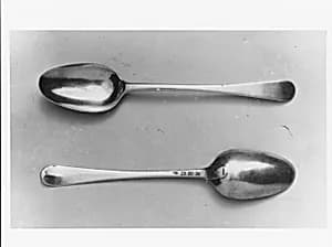 Tea Spoon