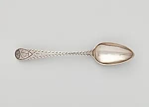 Tea Spoon by Daniel Van Voorhis