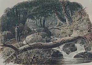 The Entrance to a Wood by Robert Walter Weir