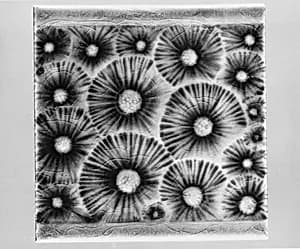 Tile