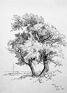 Willows, Bellport, Long Island by Andrew Fisher Bunner