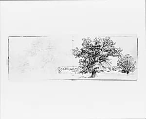 Wooded Landscape (from Sketchbook VII) by William Trost Richards
