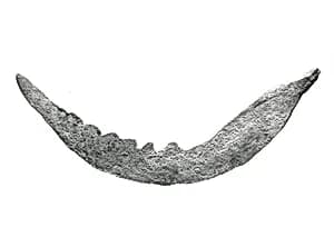 Blade by Unknown Artist